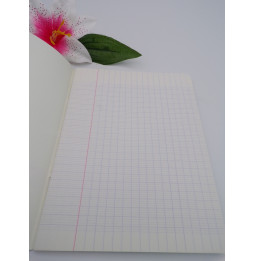 Cahier grand carreaux, 17x22, 96 pages