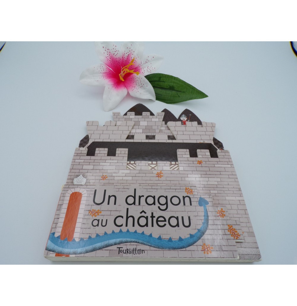 Un dragon au château