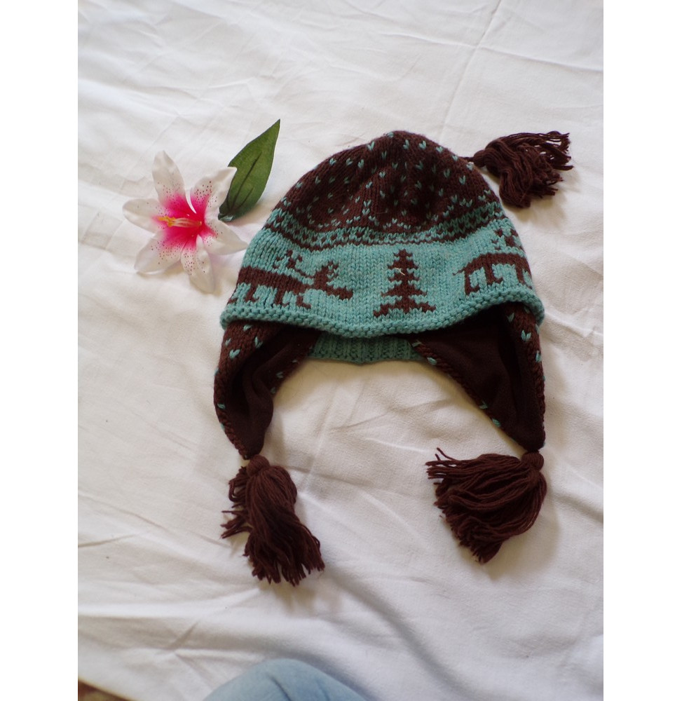 Bonnet marron et turquoise